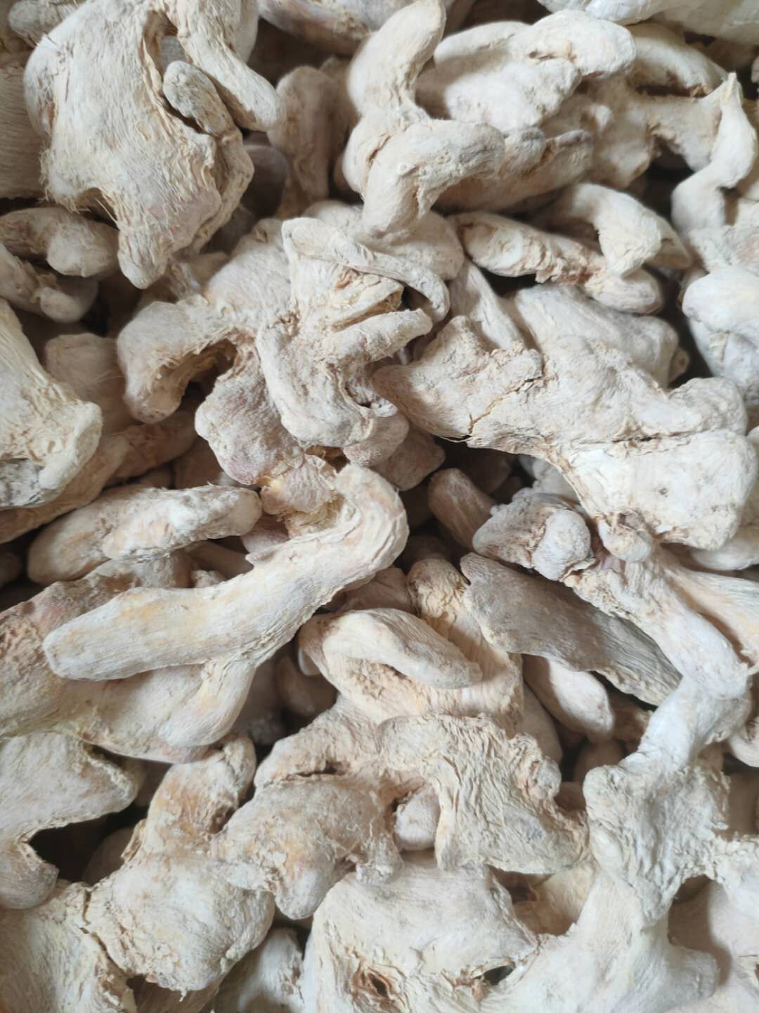 Ginger Powder 80-100mesh / Dried Ginger Powder