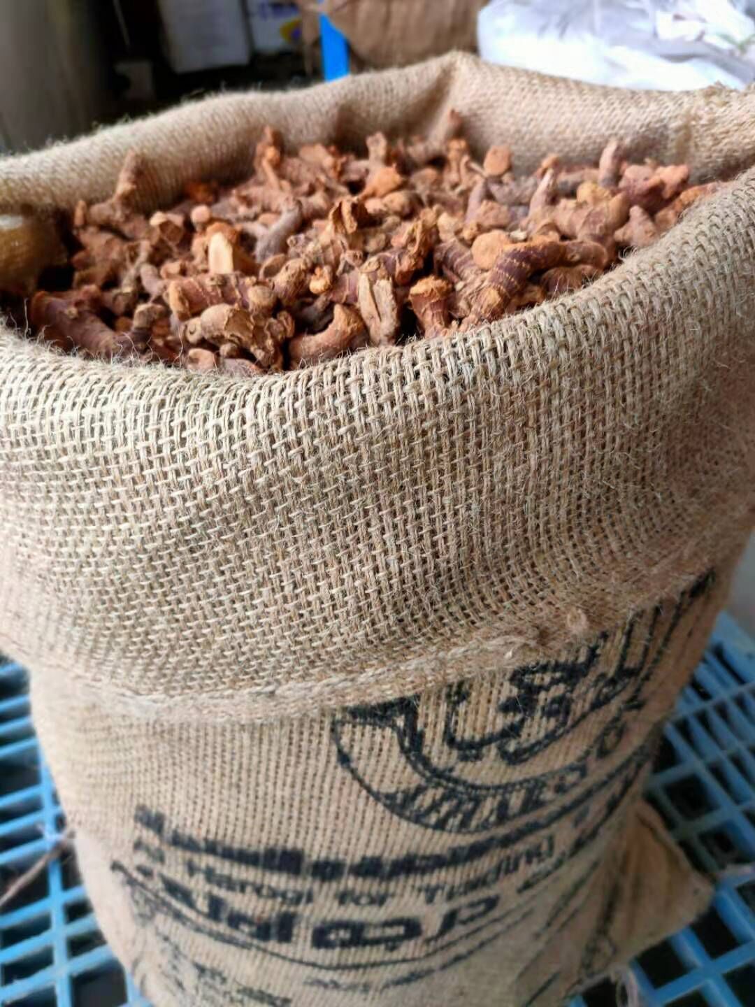 Galangal Root / Dried Galangal Root