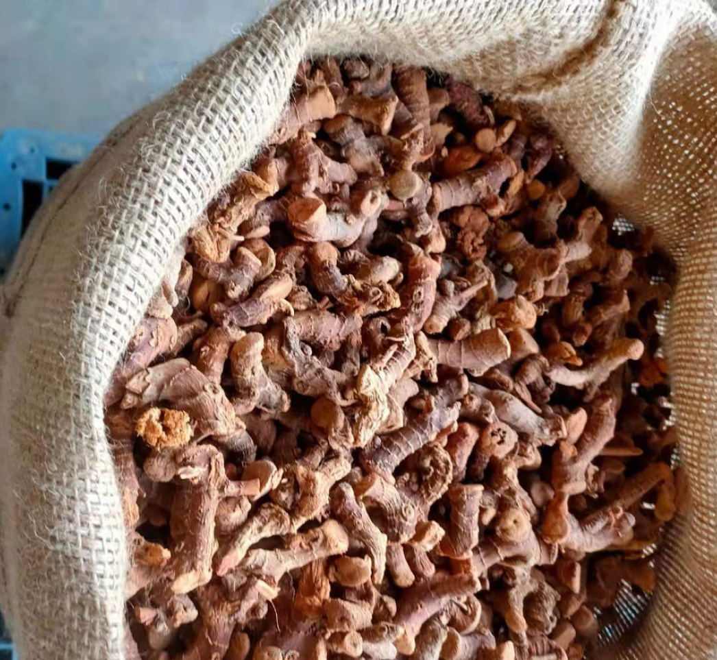 Galangal Root / Dried Galangal Root