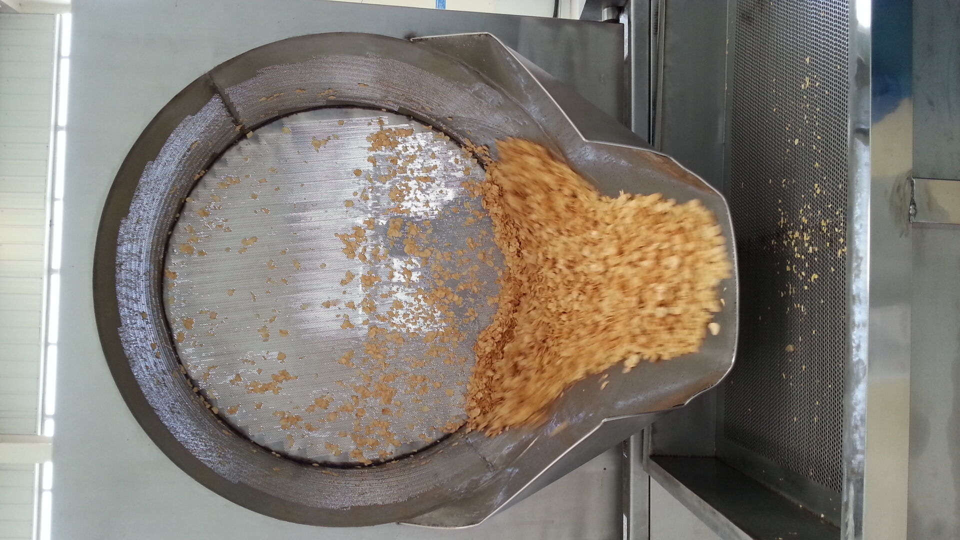 Fried Garlic Flake Free Root