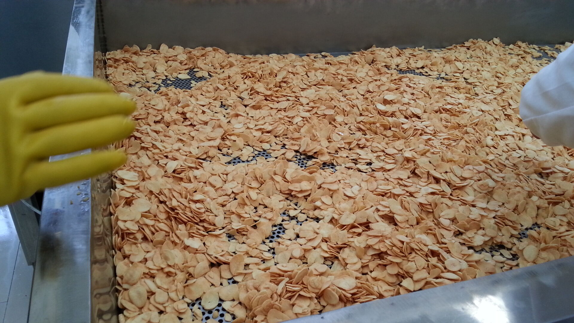 Fried Garlic Flake Free Root