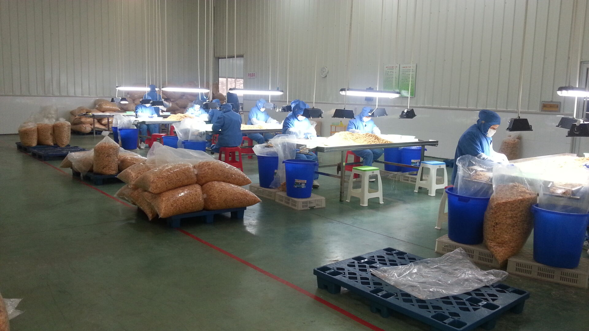 Fried Garlic Flake Free Root