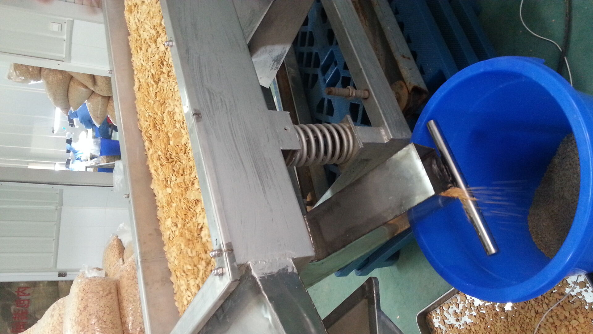 Fried Garlic Flake Free Root