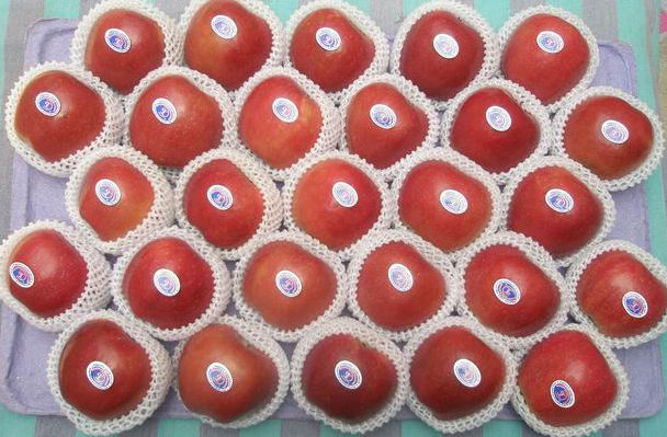 Red Star Apple / Red Delicious Apple