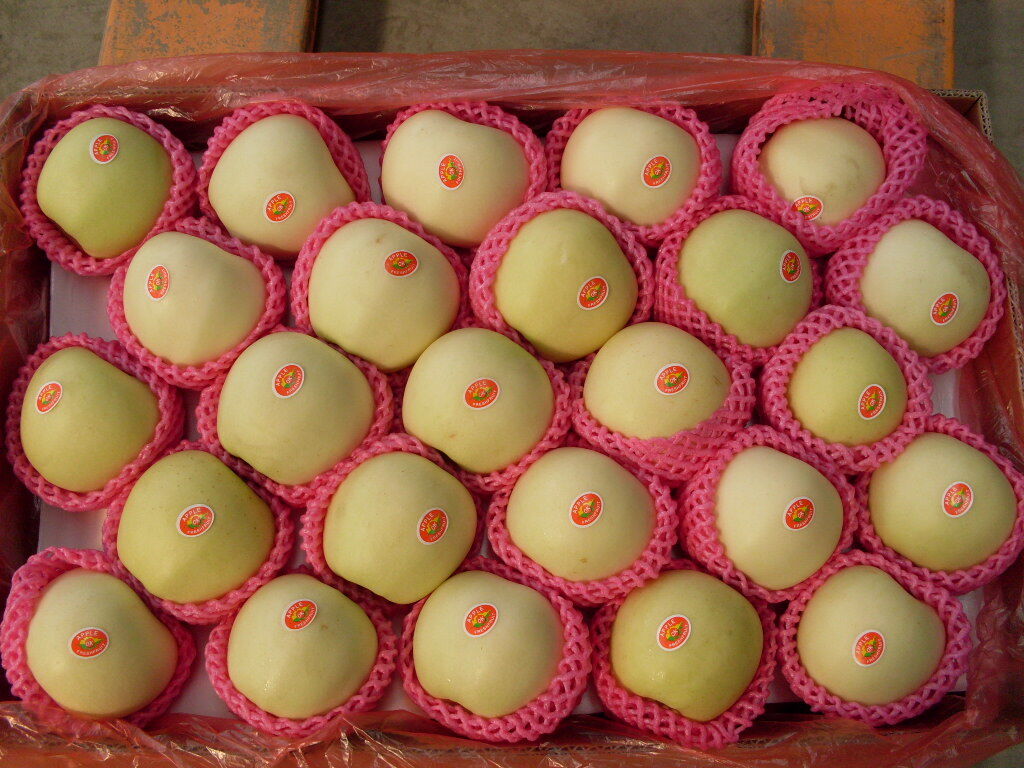 Golden Apple / Jinshuai Apple