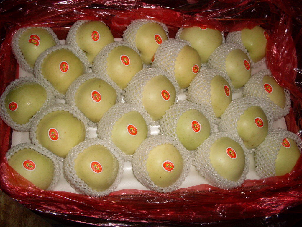 Golden Apple / Jinshuai Apple