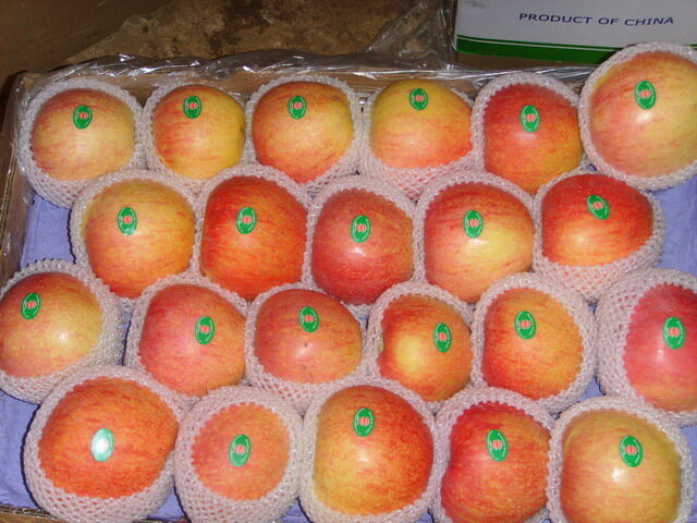 Bagged Qinguan Apple