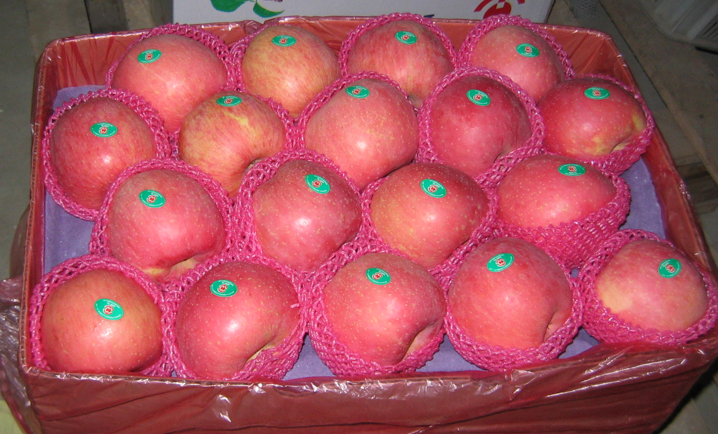 Red Fuji Apple