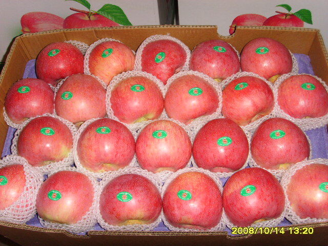 Bagged Qinguan Apple