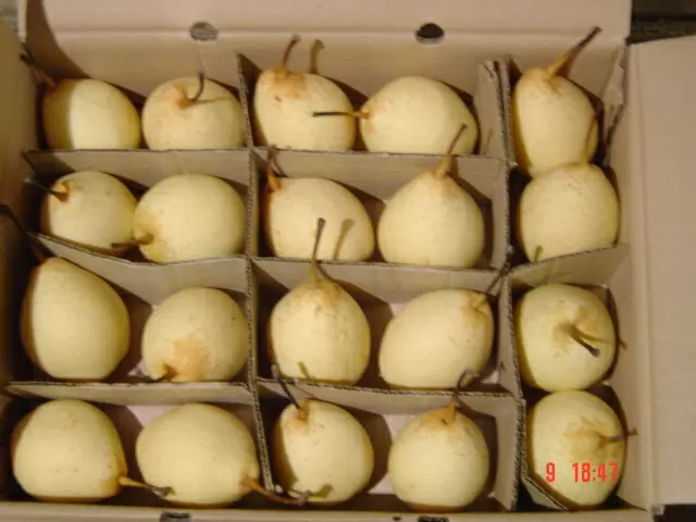 Ya Pear 18kg