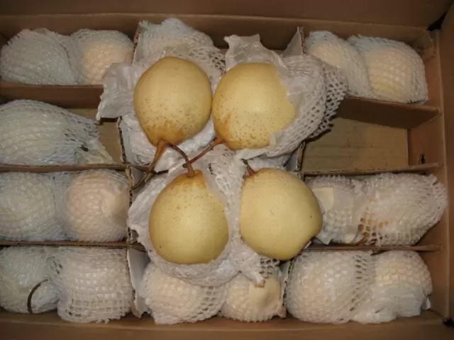 Ya Pear 18kg
