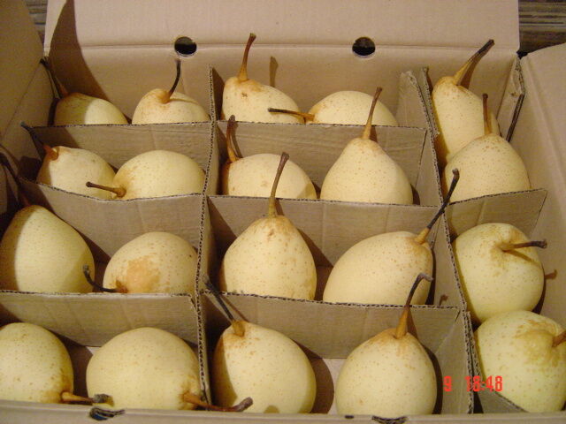 Ya Pear 18kg