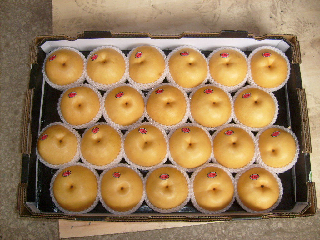 Fengshui Pear / Brown Pear