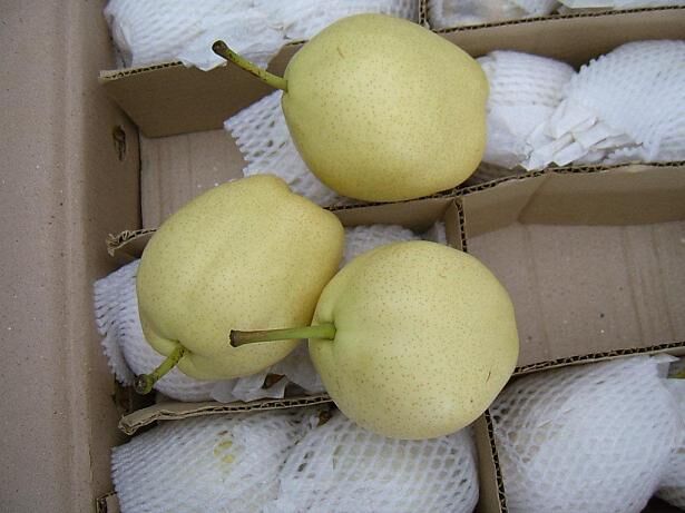 Su Pear