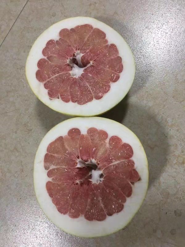 Fresh Honey Pomelo 15kg