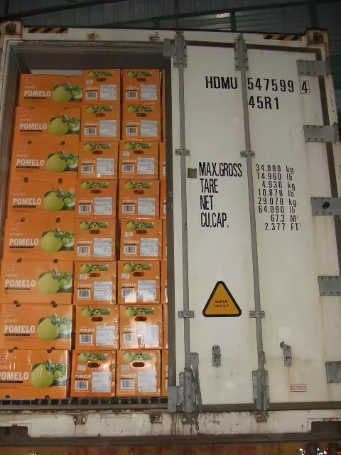 Fresh Honey Pomelo 15kg