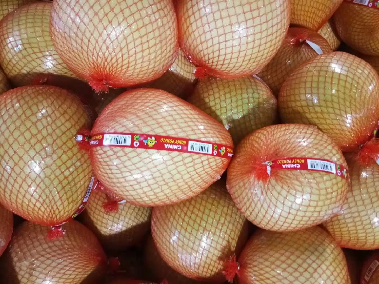 Fresh Honey Pomelo 15kg