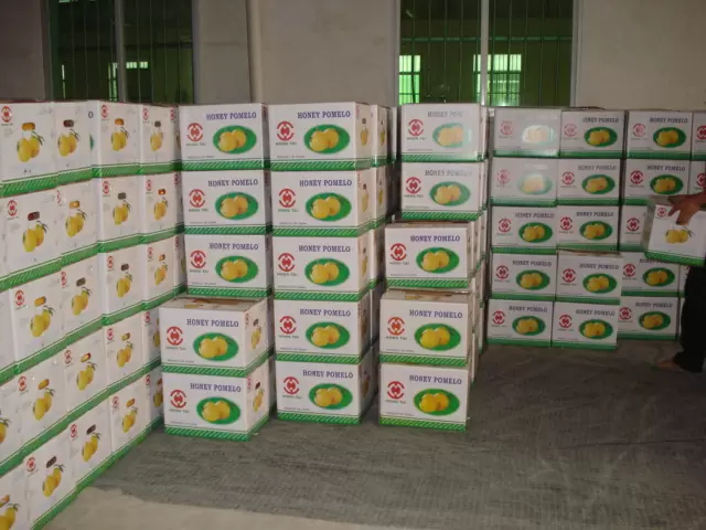 Fresh Honey Pomelo 15kg