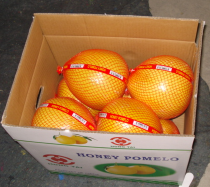 Fresh Honey Pomelo 15kg