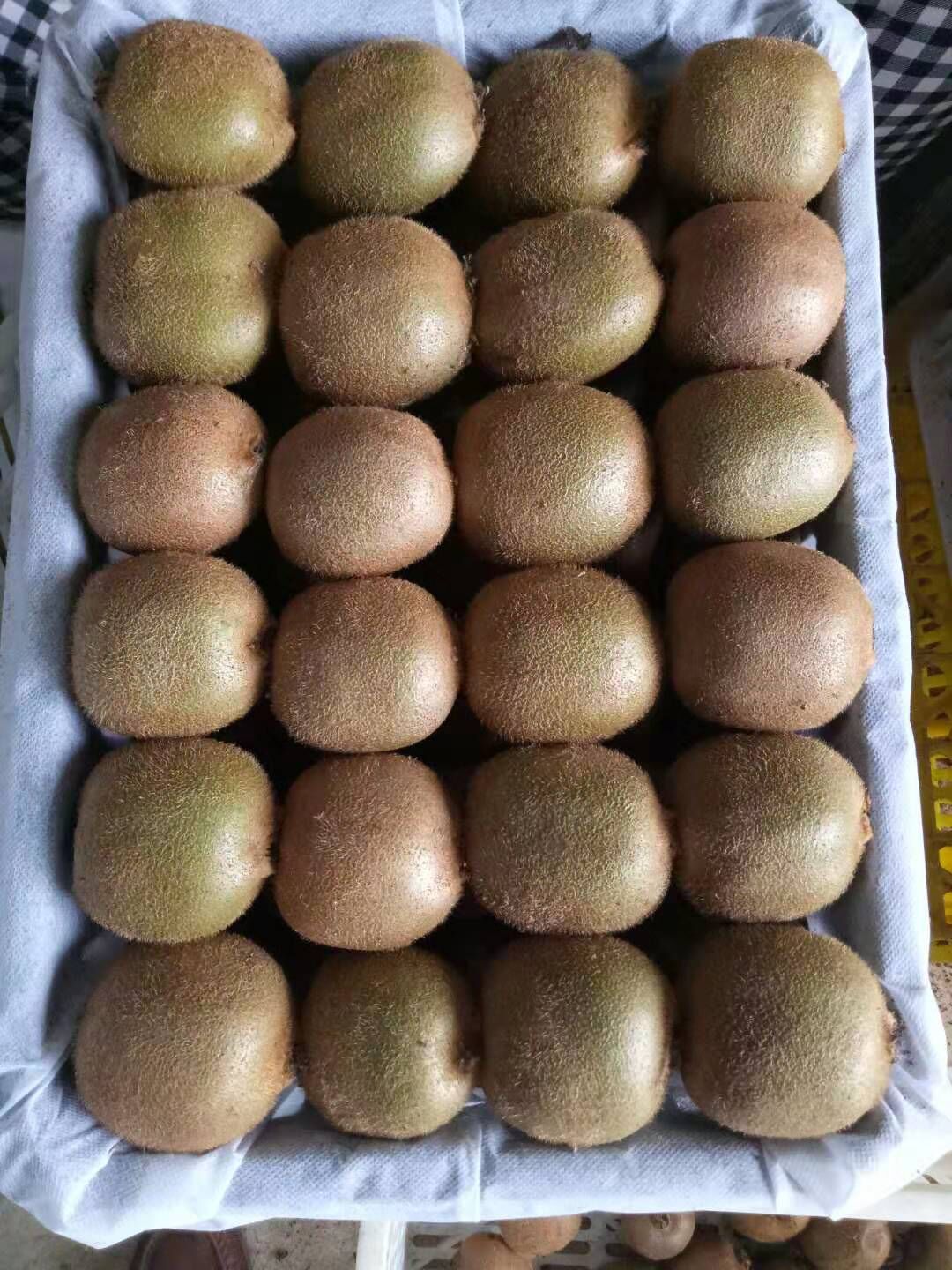 Fresh Kiwi Qinmei Kiwi