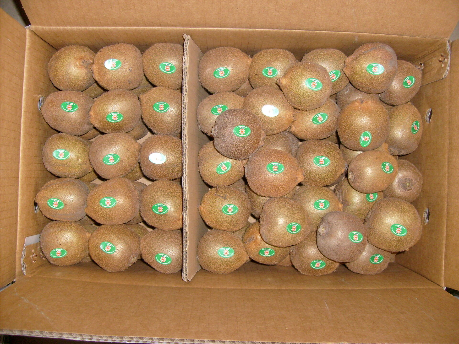 Fresh Kiwi Qinmei Kiwi