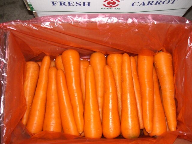 Fresh Carrot