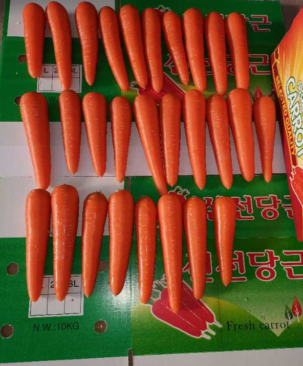 Fresh Carrot