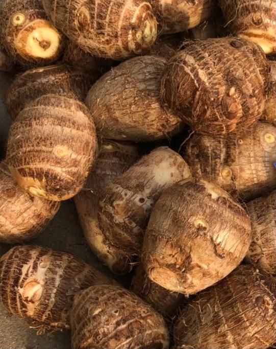 Fresh Taro / Chinese Taro