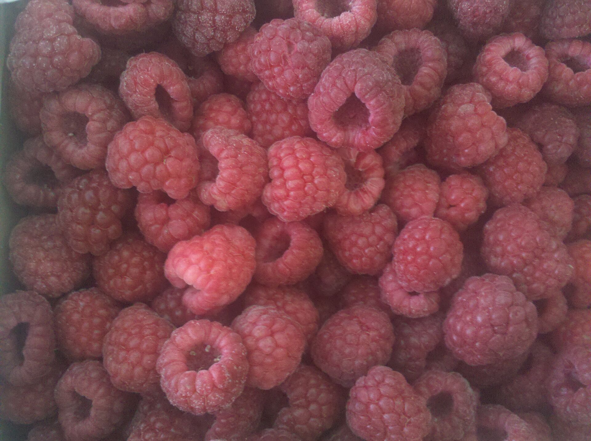 Frozen Whole Raspberry