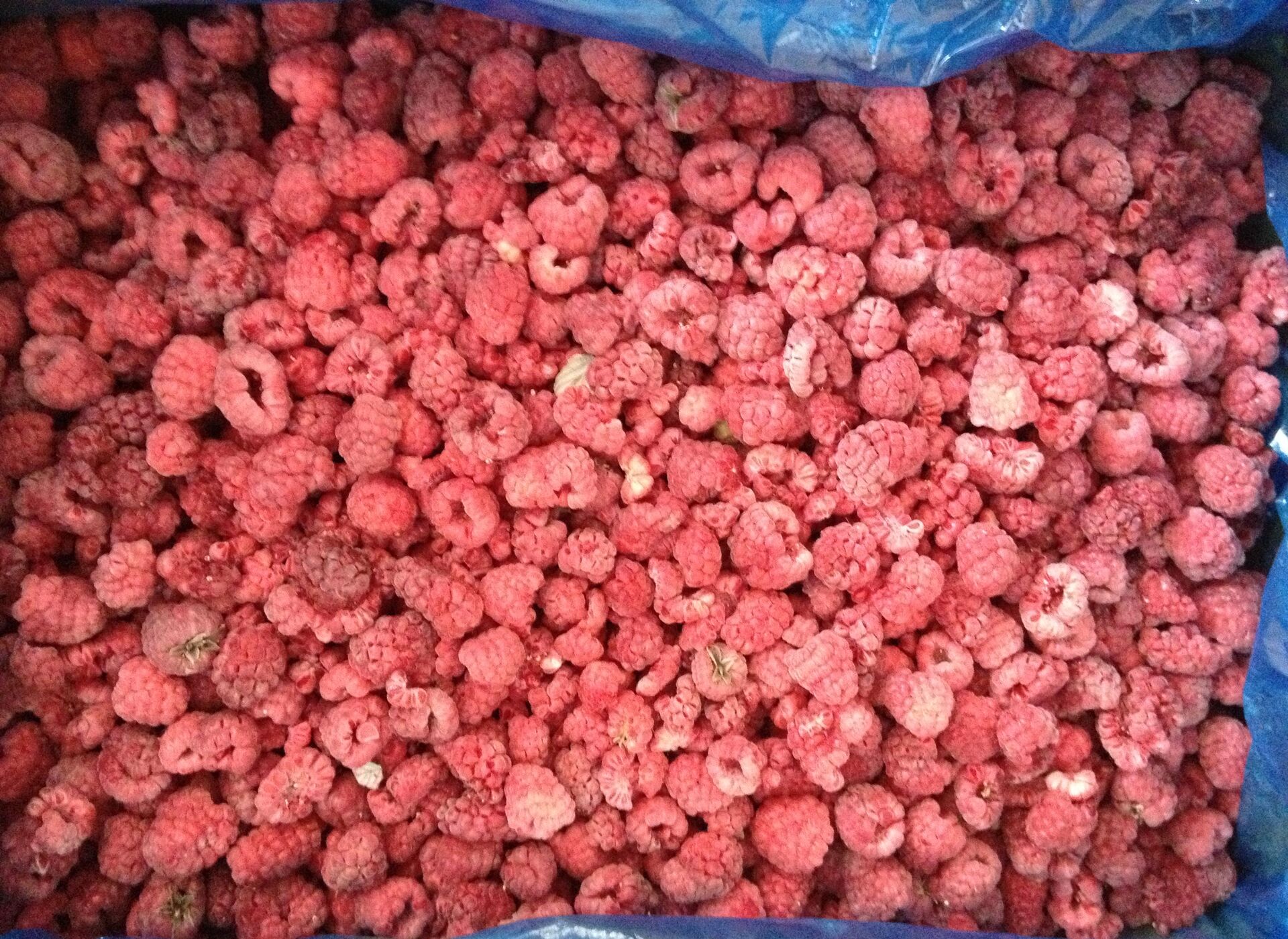 Frozen Raspberry Crumbles