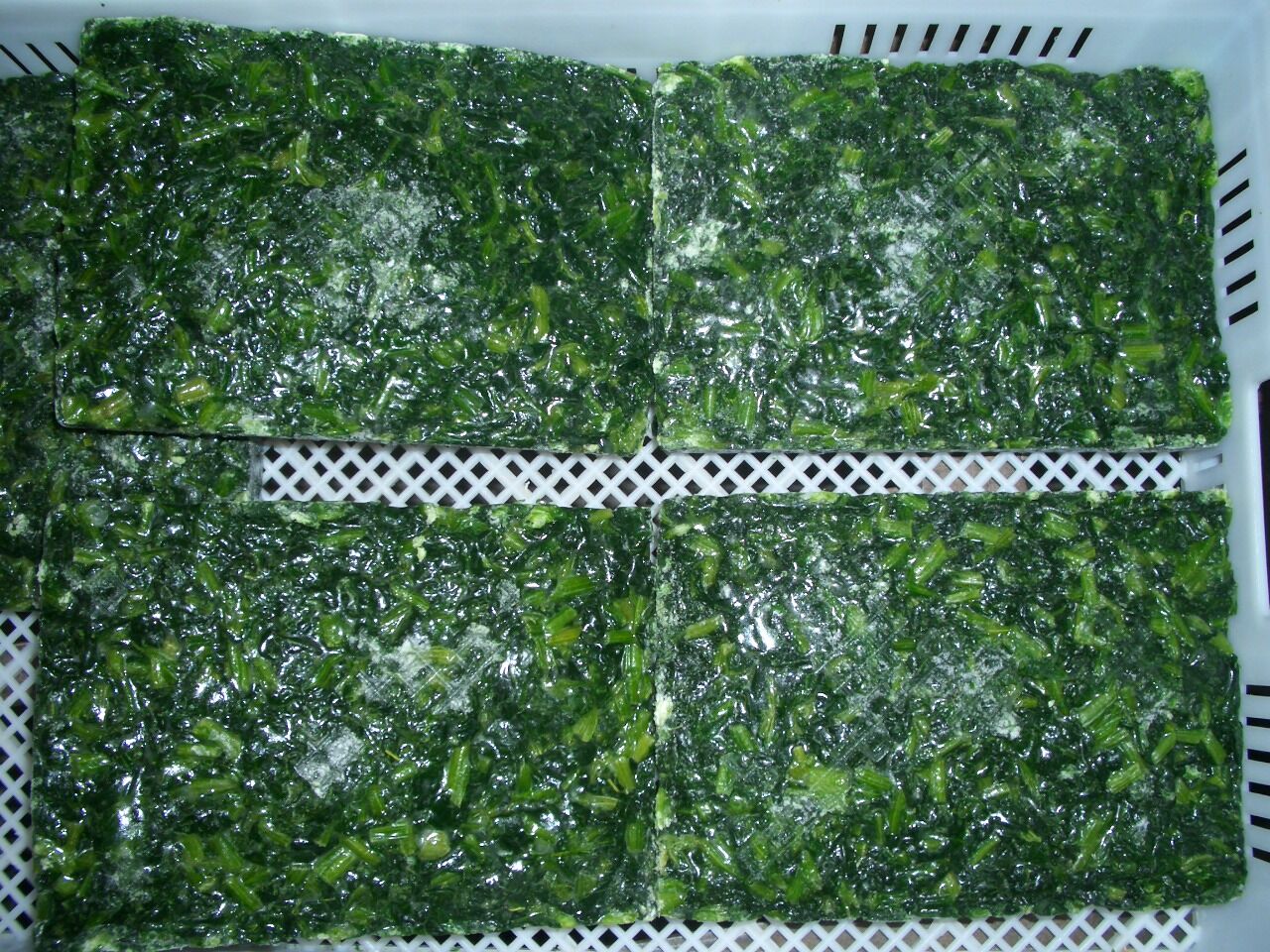 Frozen Spinach Cut /  BQF Spinach Cut