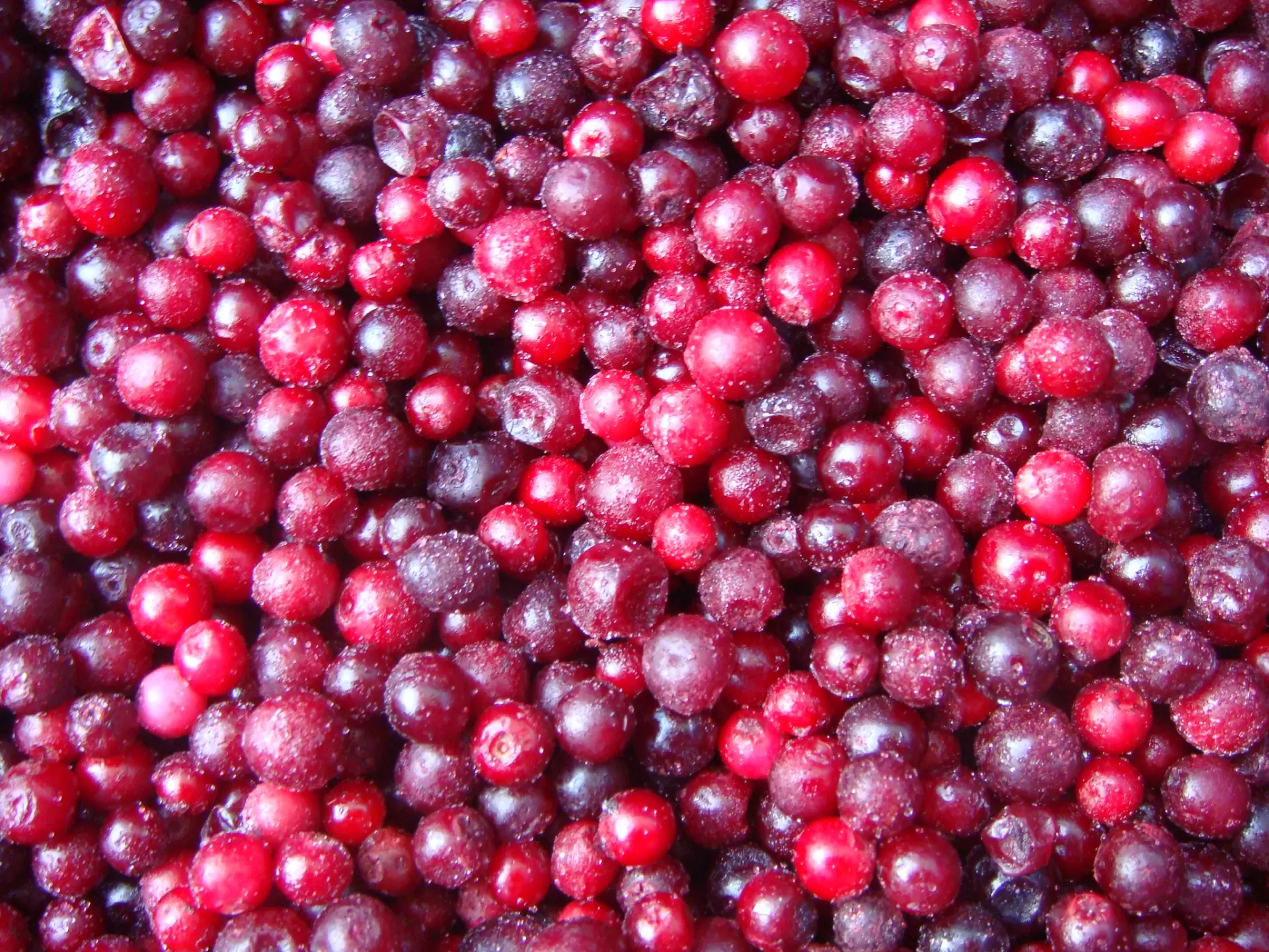 Frozen Lingonberry