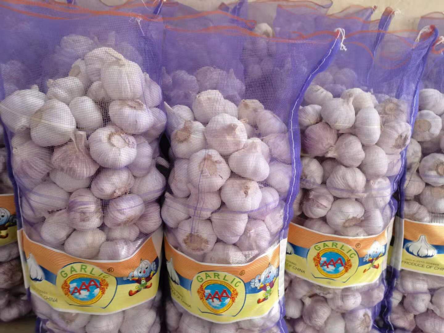 Fresh Garlic in Loose Mesh Bag