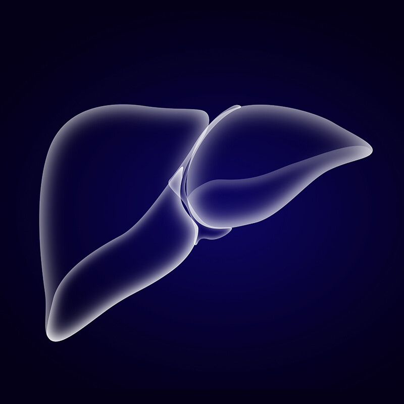 S-Adenosyl-L-methionine Disulfate Tosylate