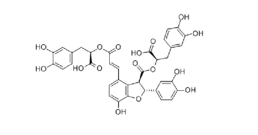 SALVIA MILTIORRHIZA EXTRACT