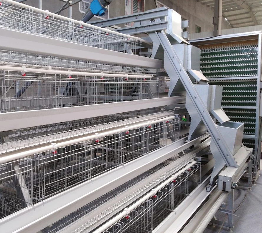 A frame breeder cage system it offers increased capacity while still maintaining the benefits of the a frame breeder cage system