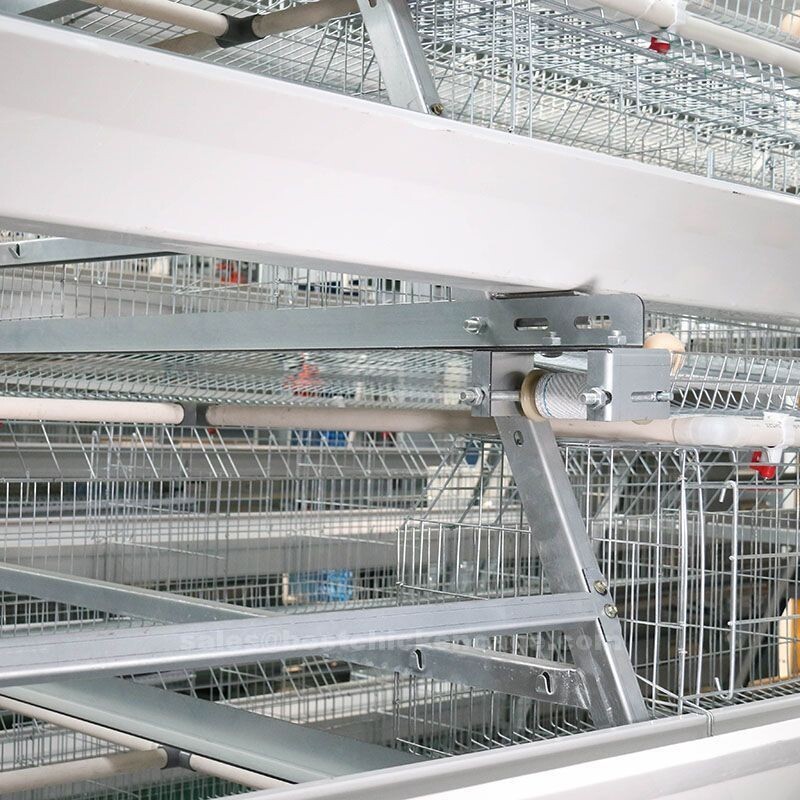 Best tips for the battery cage system of poultry farming help to reduce feed wastage It also has better feeding efficiency