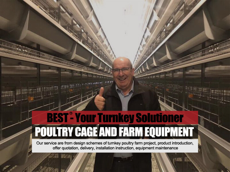 Why you need a fully automatic egg tray making machine with 4 or 8 sides is an essential investment
