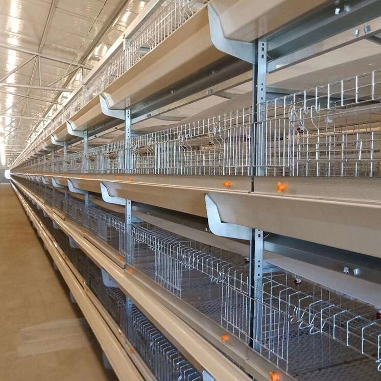 Detailed introduction of 120 broiler farm equipment battery chicken cage this setup is particularly beneficial for commercial operations looking