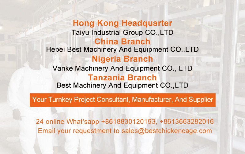 A type and H type of automatic broiler cage chicken farm equipment reduce the risk of diseases