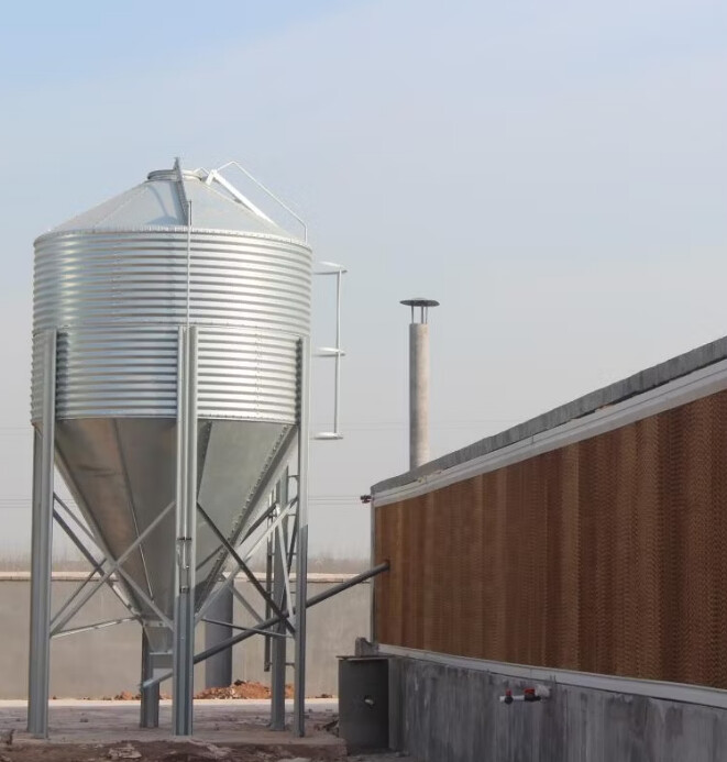 The helpful information of feed bins and conveying feed silos meets the operational needs of farms of varying sizes in chicken farms