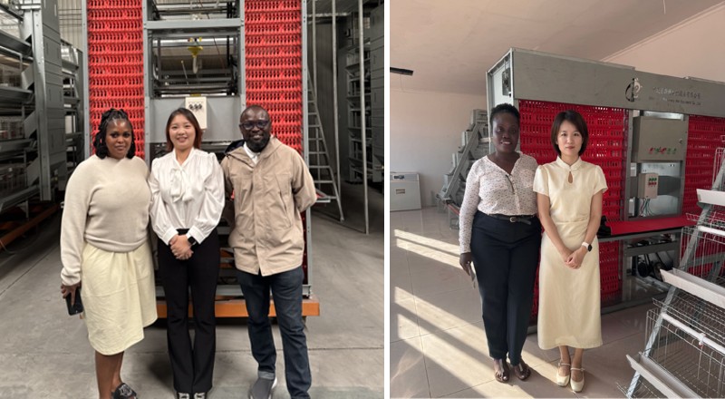 poultry equipment.png