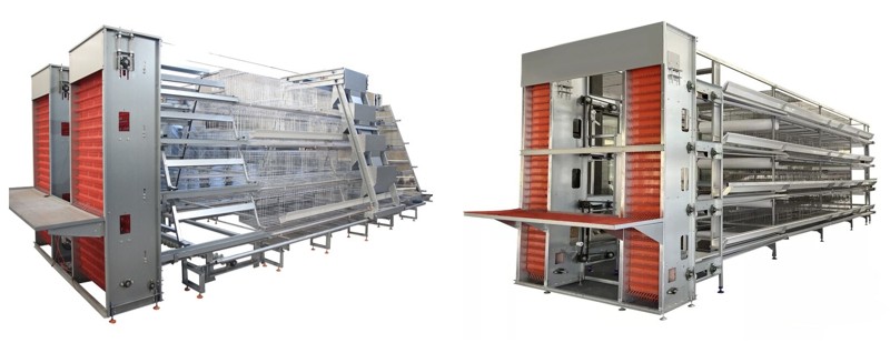 Nigeria poultry battery cage (4).png