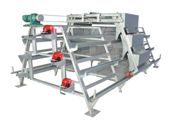 Tanzania Branch Manufacture Poultry Farm Equipment