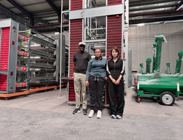 Tanzania Branch Manufacture Poultry Farm Equipment