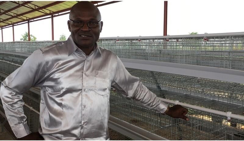 African poultry farm chicken cage (3).jpg