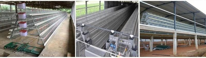 African poultry farm chicken cage (4).jpg