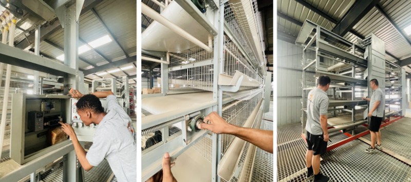 chicken cage installation.png