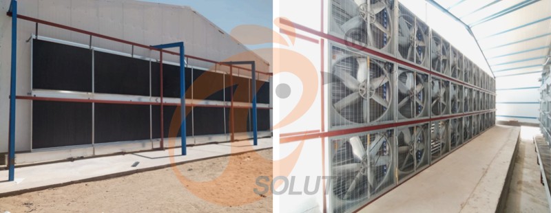 A poultry farm chicken cage (1).png