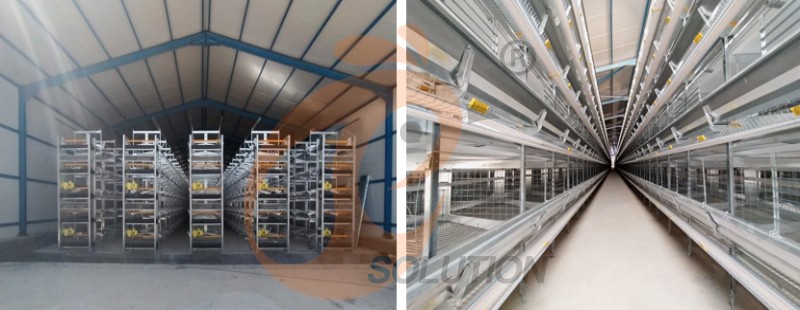 A poultry farm chicken cage (2).png